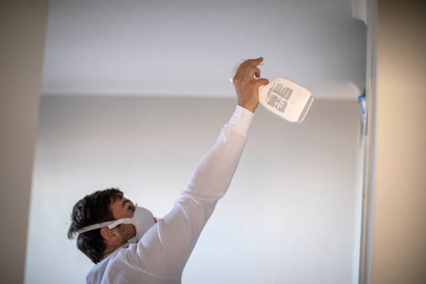 Crawl Space Mold Removal in Henderson, LA