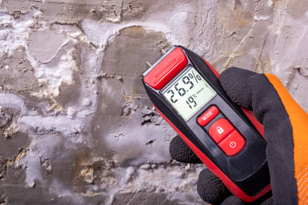 Office Mold Removal Services in Henderson, LA