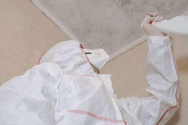 Best Certified Mold Removal  in Henderson, LA