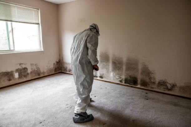 Best Professional Mold Removal  in Henderson, LA
